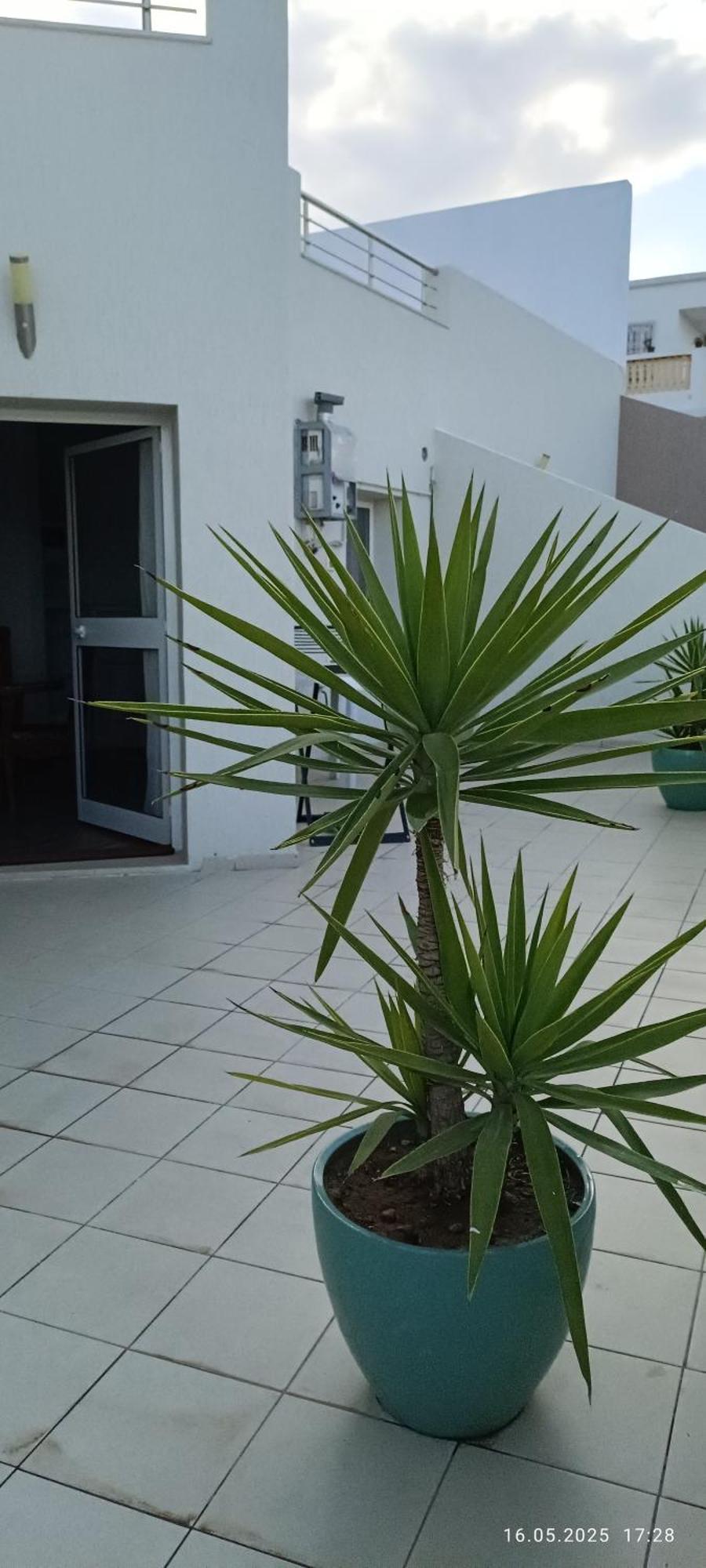Residence Debbabi Sans Coupure D'Eau Монастир Стая снимка